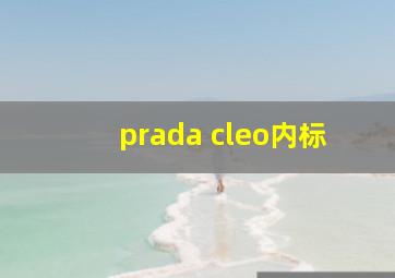 prada cleo内标